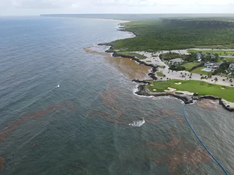 Sargazo — CAP CANA (Este)